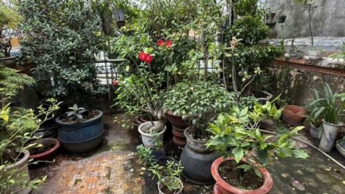 Nhà mặt tiền Đỗ Nhuận Tân Phú