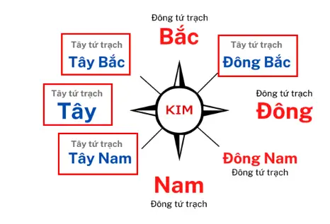 đông tứ trạch đông tứ trạch